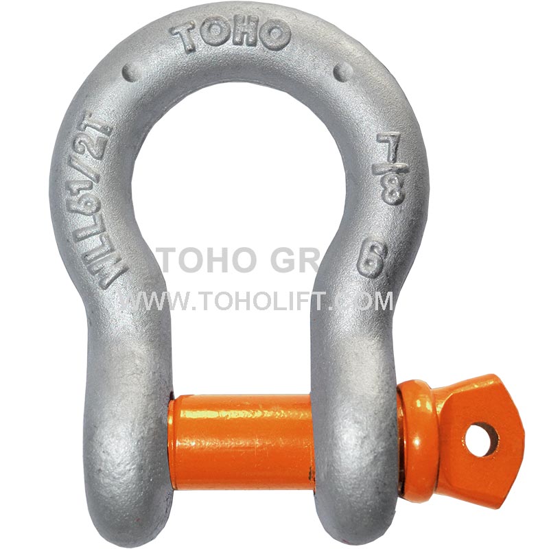 US Type Forged Screw Pin Anchor Shackle T209/S209