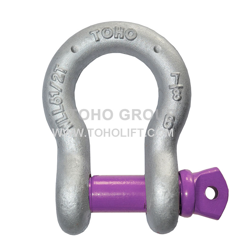 US Type Forged Screw Pin Anchor Shackle T209/S209
