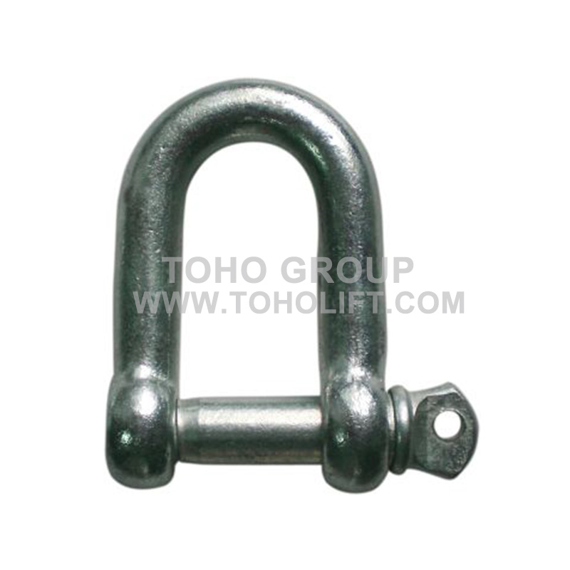 European Type Large D Shackle